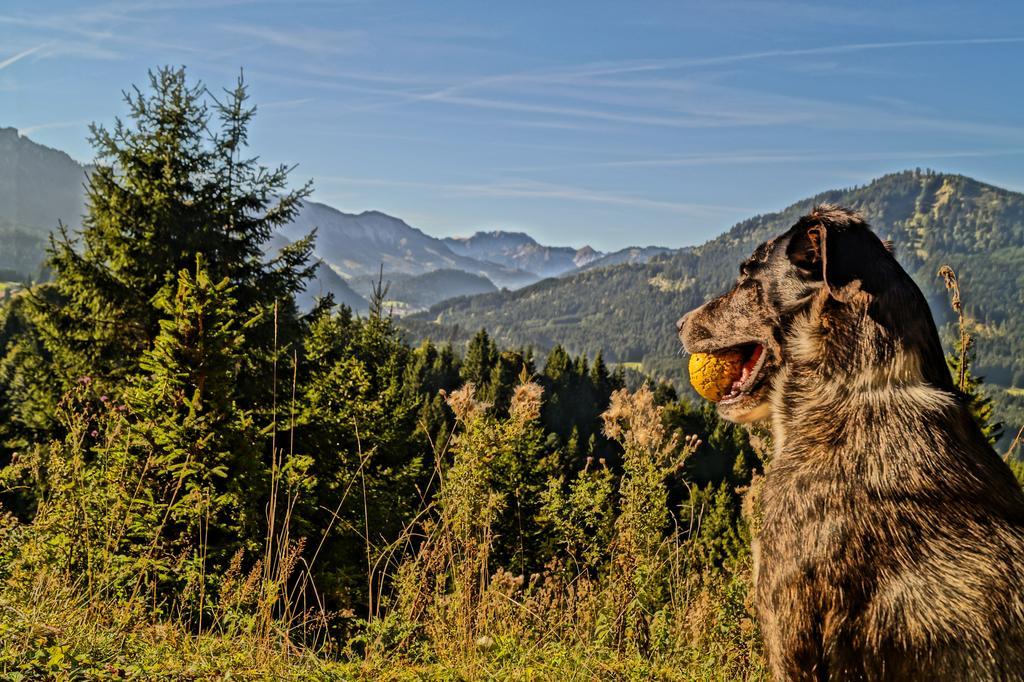 فندق Alpenhof Reuterwanne فيرتاخ المظهر الخارجي الصورة
